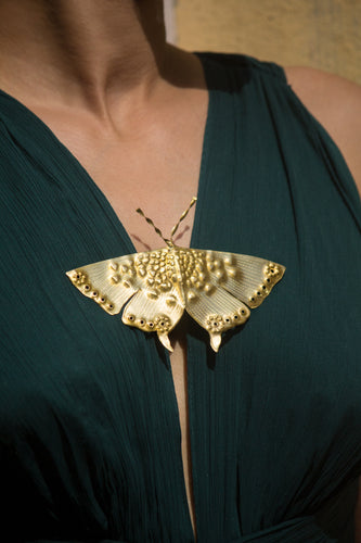 Swallowtail - Brooch cum Necklace